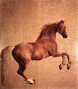 STUBBS, George Whistlejacket r oil painting picture wholesale